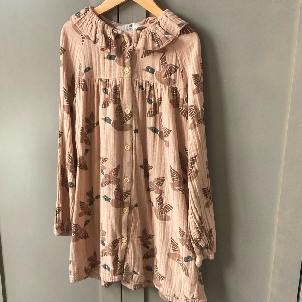 H&M Pink Ruffled Dress